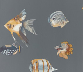 Обои Harlequin Anthozoa 111648